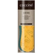 Vidpadžiai Coccine Aloe Vera Ruda