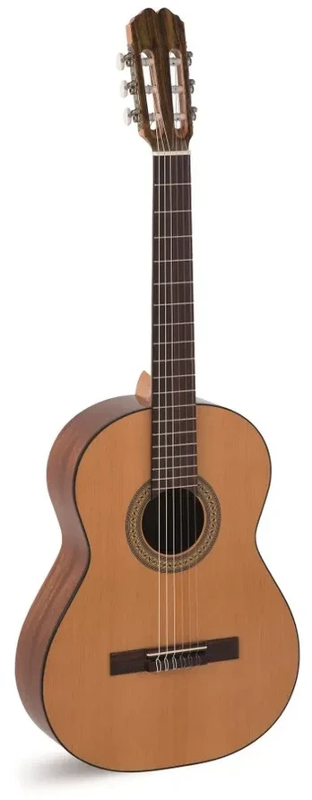 Alvaro Guitars No.25 - klasikinė gitara