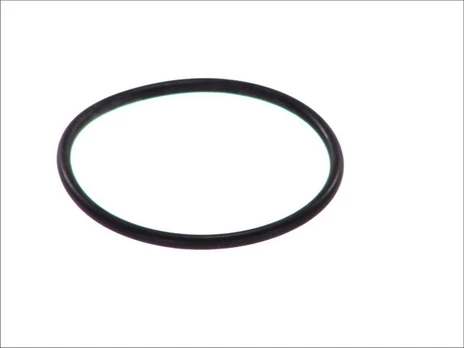 Termostato tarpinė ELRING EL703087