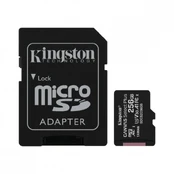 Memory card microSD 256GB Canvas Select Plus 100/85MB/s kaina