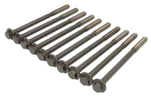 ELRING EL821950 Cylinder head bolt set