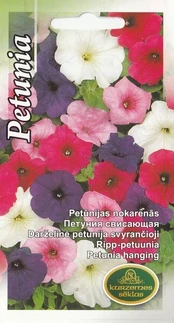 Darželinė svyrančioji petunija