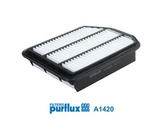 Oro filtras PURFLUX A1420