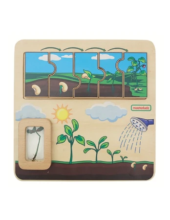 MASTERKIDZ Wooden Bean Life Cycle Board