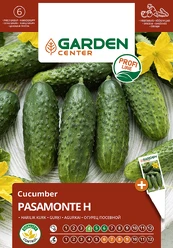 Sėklos Garden Center, agurkai PASAMONTE H, 10 vnt. kaina