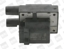 Ritė, uždegimas BorgWarner (BERU) ZS243