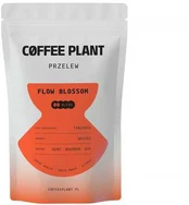 COFFEE PLANT - FLOW Blossom Filter 100g