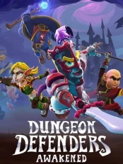 Dungeon Defenders: Awakened PC kaina