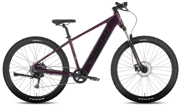 Elektrinis dviratis Tabou Blade UP ECO 29 black-purple-18"