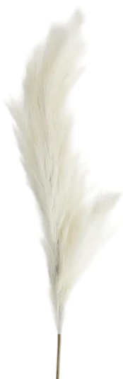 Dirbtinė šakelė Homla Basic Canne, kreminė sp., 150 cm