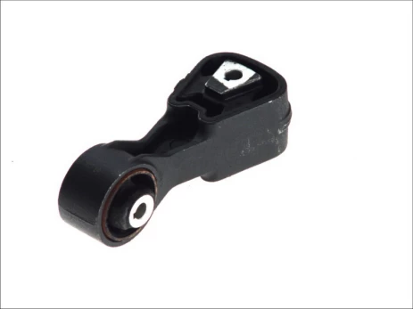 Variklio montavimas SASIC 8061741