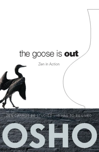 Goose Is Out