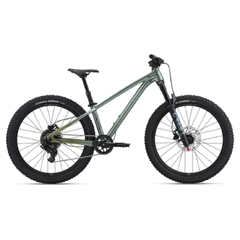 Children's bicycle LIV STP 24, Alpine Green