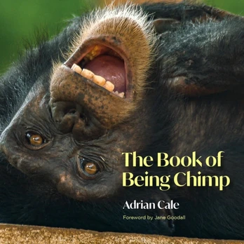 Book of Being Chimp