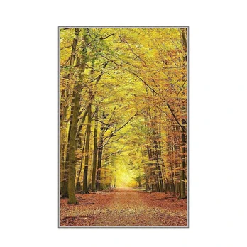 Asir kilimas Eexfab859 80x120 cm