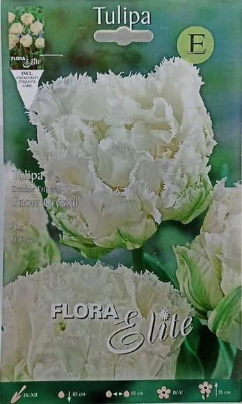 Tulpės Snow Crystal, 5 vnt