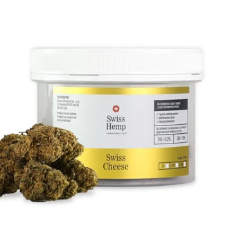 Swiss Hemp Swiss Cheese CBD Kanapių Žiedai