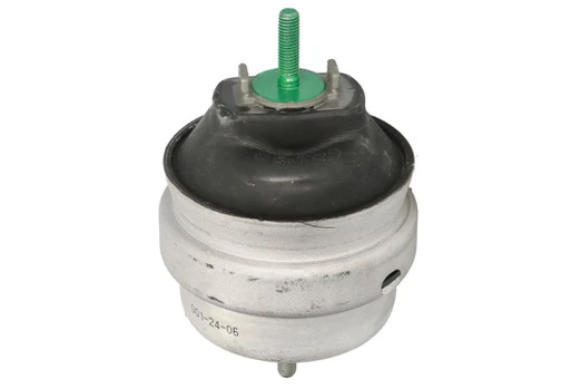 Variklio montavimas DELPHI TEM143