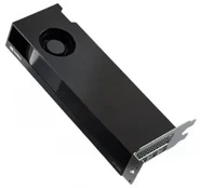 DELL NVIDIA RTX 2000 ADA 16GB LP (4MDP) kaina