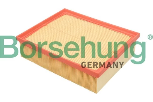 Oro filtras Borsehung B12805