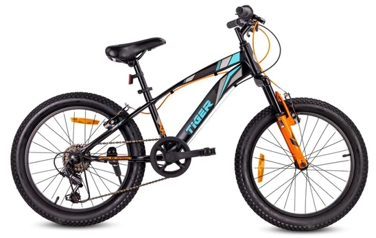 Vaikiškas dviratis Tiger Bike 20", juodas