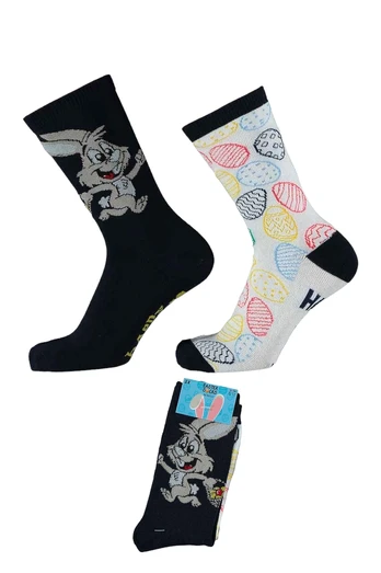 Velykų kojinės vaikams Apollo Easter Socks, 2 poros