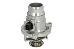 Termostatas, aušinimo skystis MAHLE TM27101 kaina