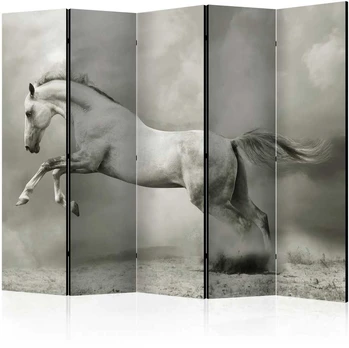 Artgeist Pertvara - Wild Stallion II [Room Dividers]