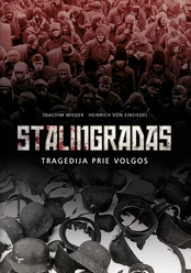 Stalingradas: tragedija prie Volgos kaina