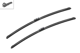Valytuvai BOSCH 3397007079
