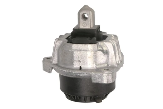 Variklio montavimas TEDGUM TED90783