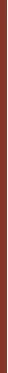 Essence Line n` STAIN lip pen! Lip Liner 1.1 ml