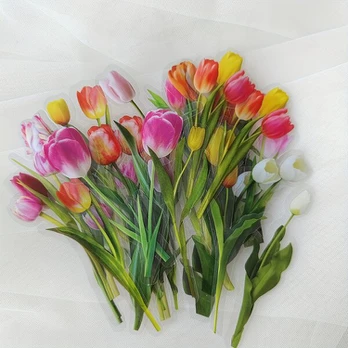 Lipdukų rinkinys, tulip record