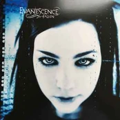 Vinyl (LP) Evanescence - Fallen