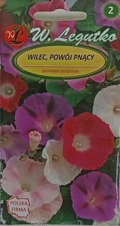 Purpurinis sukutis, W. Legutko