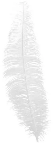 Fiesta Hvide strudsefjer 40 cm, 12 stk