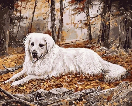 Tapyba pagal skaičius Šuo miške 40x50 cm