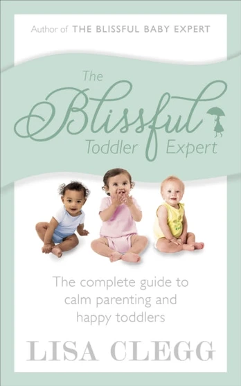 Blissful Toddler Expert