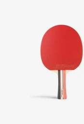Stalo teniso raketė Carbon Pro Light 5*