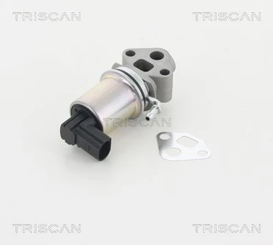 ERG vožtuvas TRISCAN 8813 29007
