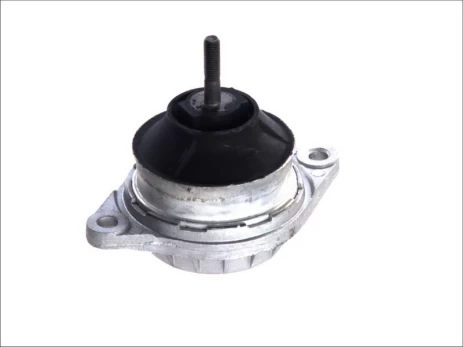 Variklio montavimas TOPRAN 103 731