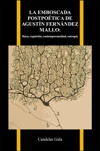 La Emboscada Postpoetica De Agustin Fernandez Mallo