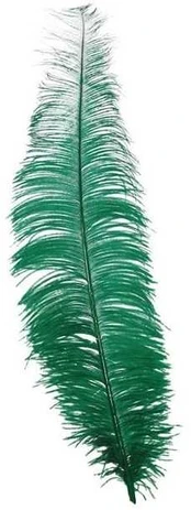 Fiesta Grønne strudsfjer 40 cm, 12 stk