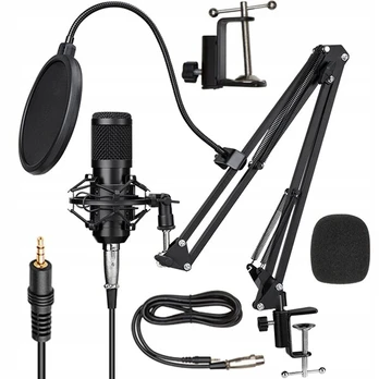 StoreXO Mic