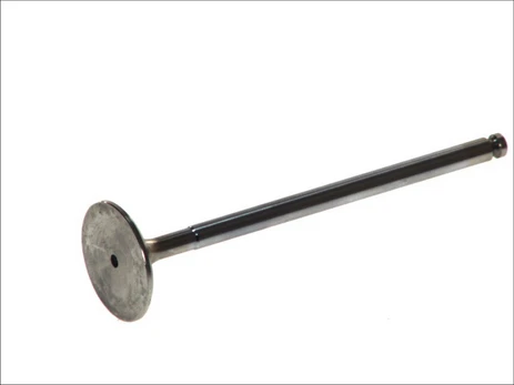 Įsiurbimo vožtuvas 4730/RCR