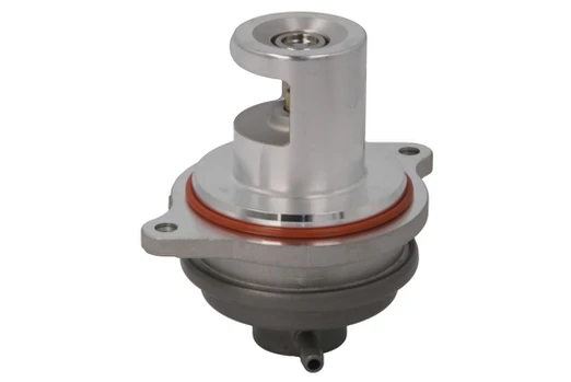 EGR vožtuvas BORG WARNER WA729007D