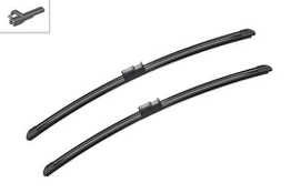 BOSCH 3397118925 Valytuvai