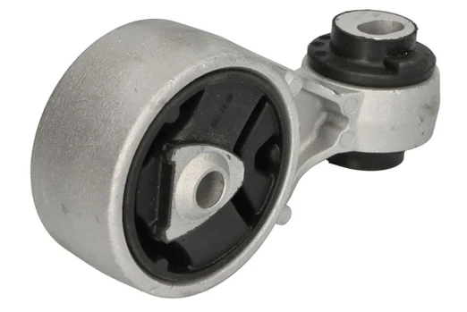 Variklio montavimas DELPHI TEM263