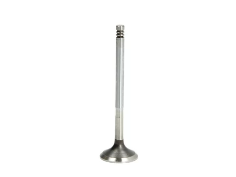 FRECCIA 6003/BMCR Exhaust valve