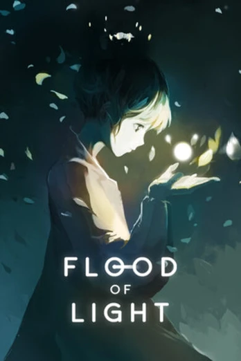Flood of Light PC
